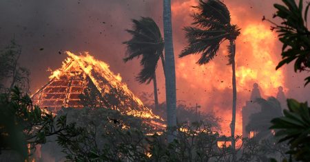 240417 hawaii wildfires se 109p 421b8c