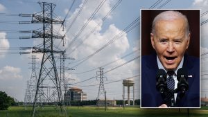 Biden power lines
