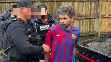 Brazilian Arrested