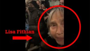 Lisa Fithian Protest NYPD Provided