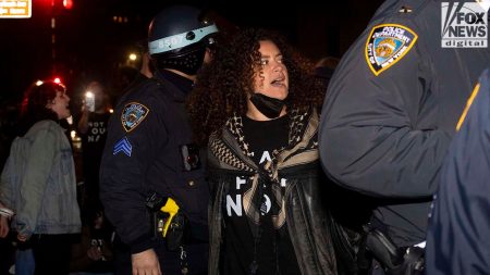 Schumer NYPD Palestine Arrests 06