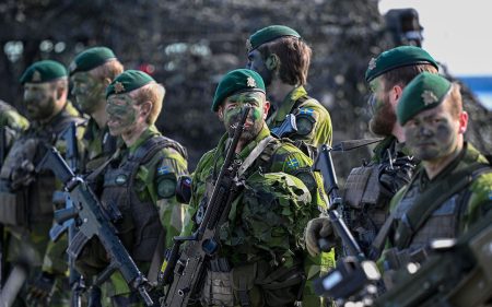 Sweden Soldiers