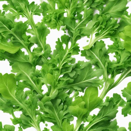 Arugula: The Calcium-Rich Super Green You Need in Your Salad Rotation