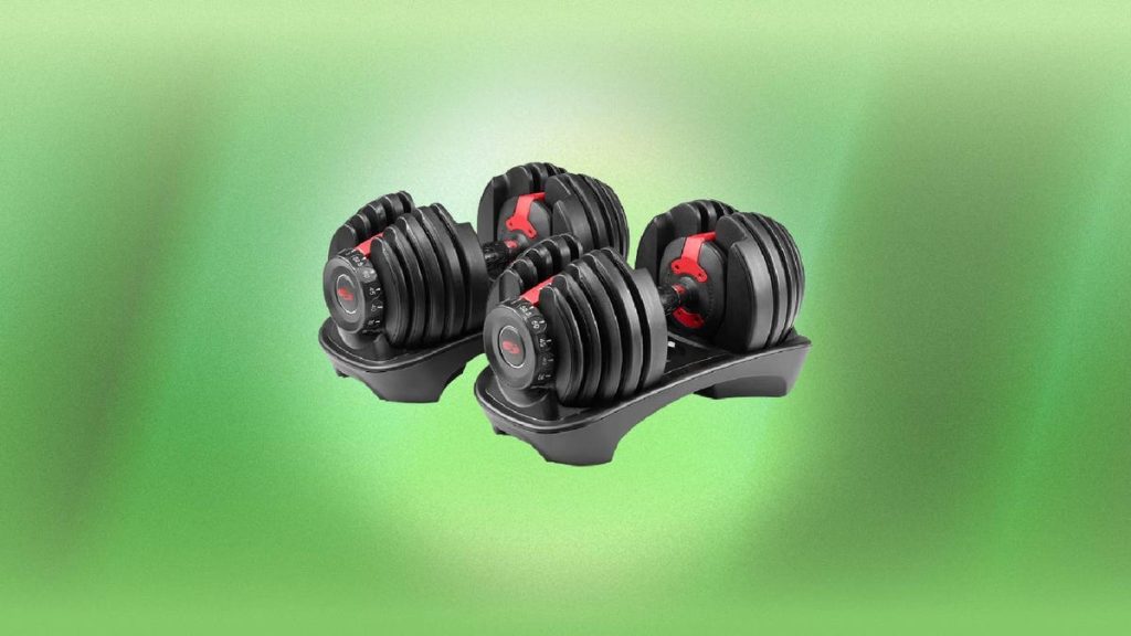 bowflex selecttech adjustable dumbbells