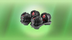 bowflex selecttech adjustable dumbbells