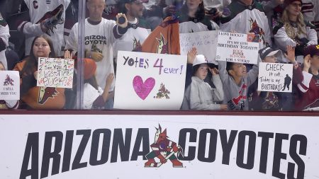 coyotes fans