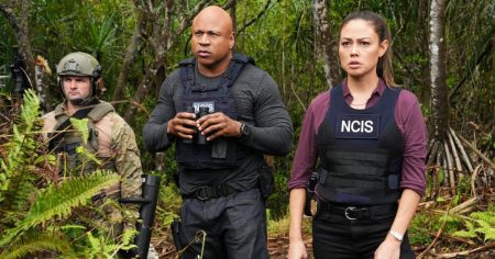 feature NCIS Hawaii Canceled at CBS After 3 Seasons