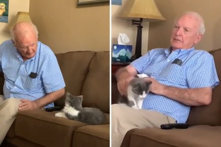 grandfather warms cat