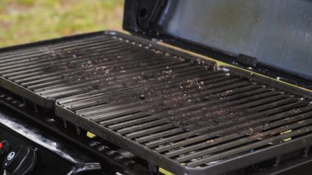 grilling clean 2