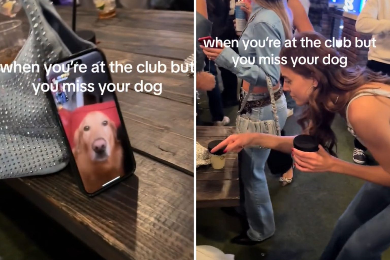 owner facetimes dog while away