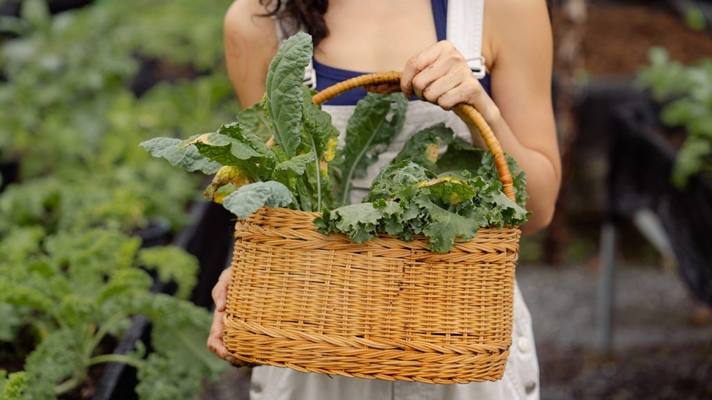 woman holding basket of kale