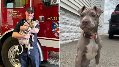 Firemen adopts dog split