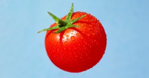 Tomato Nutrition Explainer te 240502 4dfc95