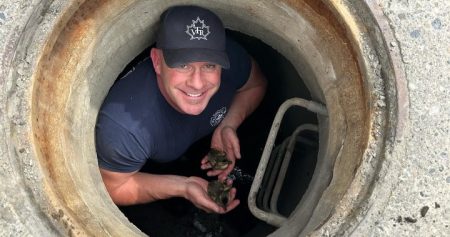 Vernon firefighters rescue ducklings 1