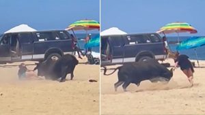 Woman attacked by bull on Mexico beach