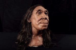 reconstructed head neanderthal woman